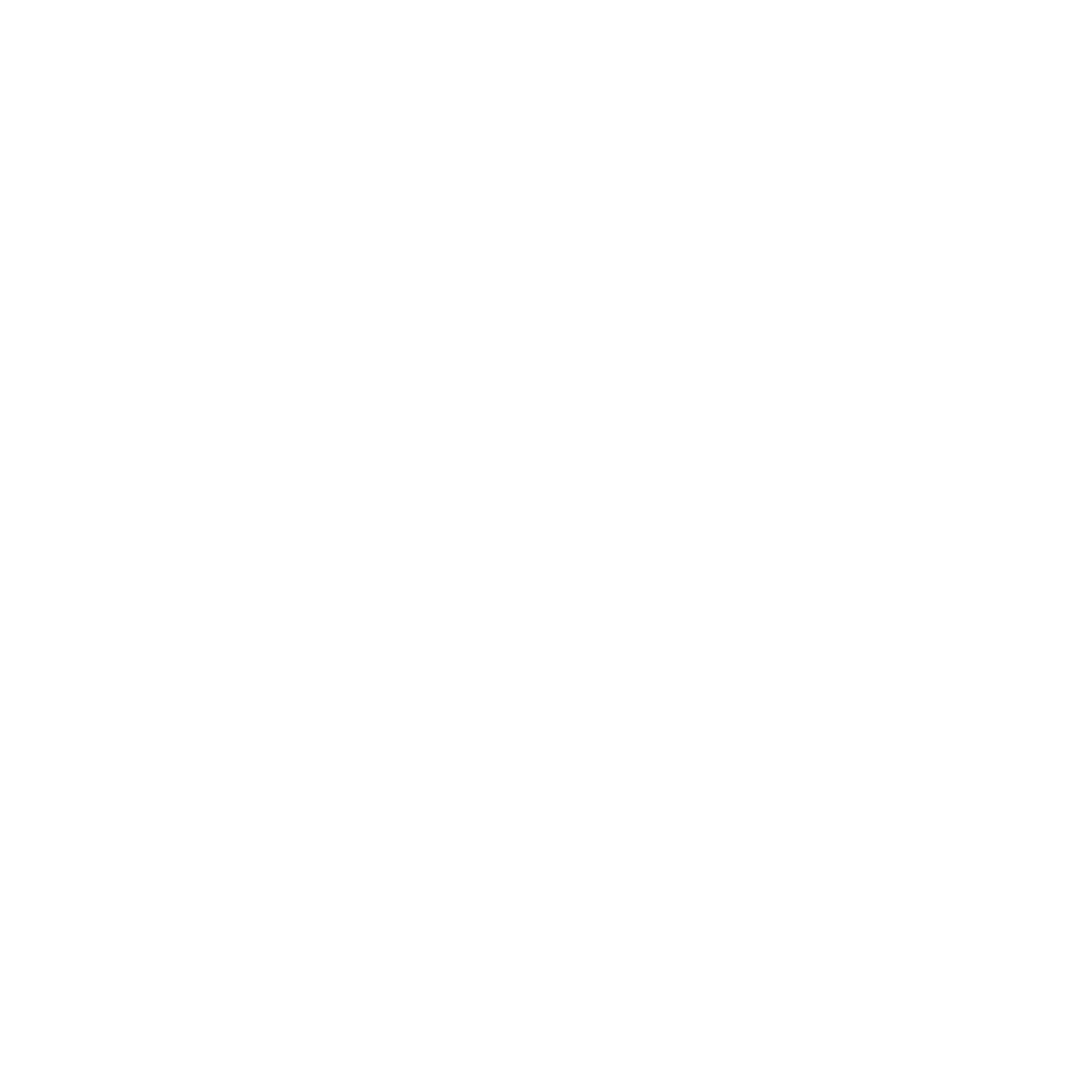 Forsapluss